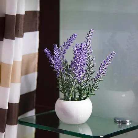 Apartment Apartman&room Aska *